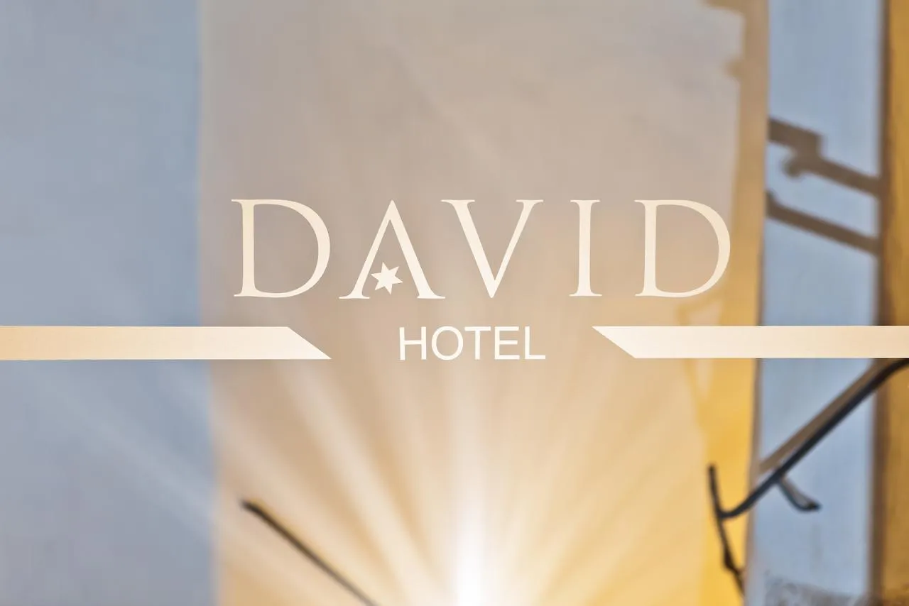 Hotel David An Der Donau Regensburg