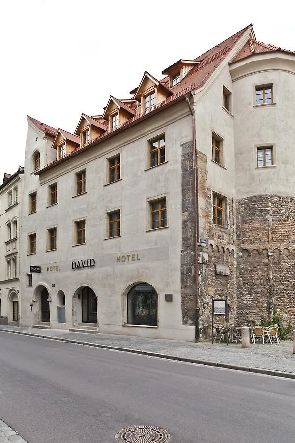 Hotel David An Der Donau レーゲンスブルク